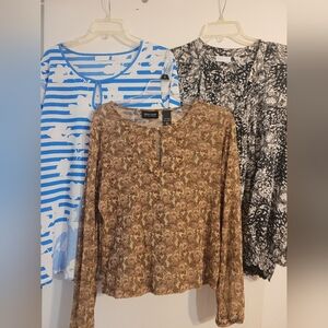 New York & Company Women's Tops - Black, Brown, Blue